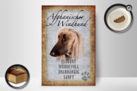 Holzschild Spruch 20x30cm Afghanischer Windhund Hund ohne kein Heim