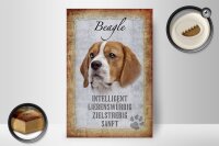 Holzschild Spruch 20x30cm Beagle Hund Schild