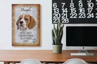 Holzschild Spruch 20x30cm Beagle Hund Schild