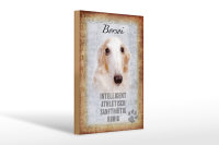 Holzschild Spruch 20x30cm Borsoi Hund athletisch Schild