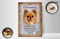 Holzschild Spruch 20x30cm Chihuahua Hund tapfer Schild