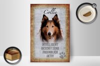 Holzschild Spruch 20x30cm Collie Hund freundlich Schild