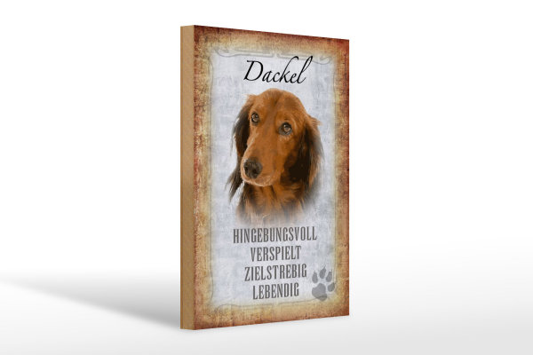 Holzschild Spruch 20x30cm Dackel Hund lebendig Schild