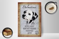 Holzschild Spruch 20x30cm Dalmatiner Hund Schild