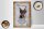 Holzschild Spruch 20x30cm Dobermann Hund loyal Schild