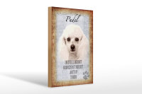 Holzschild Spruch 20x30cm Pudel Hund aktiv Schild