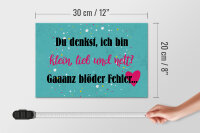 Holzschild Spruch 30x20cm du denkst ich bin klein lieb