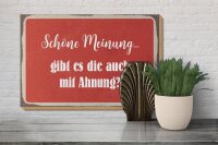 Holzschild Spruch 30x20cm schöne Meinung gibt mit Ahnung