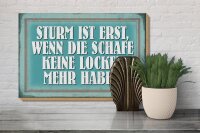 Holzschild Spruch 30x20cm Sturm wenn Schafe keine Locken