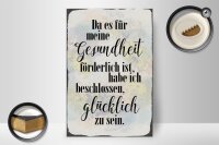 Holzschild Spruch 20x30cm Gesundheit glücklich sein