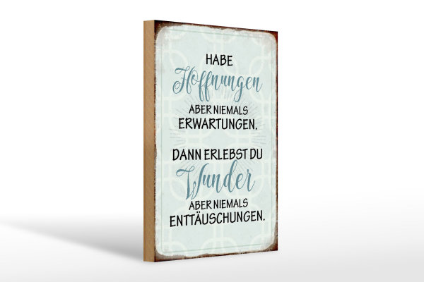 Holzschild Spruch 20x30cm habe Hoffnungen nie Erwartungen