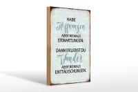 Holzschild Spruch 20x30cm habe Hoffnungen nie Erwartungen