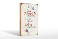 Holzschild Spruch 20x30cm gute Freunde erkennt Schild