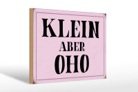 Holzschild Spruch 30x20cm klein aber Oho Schild
