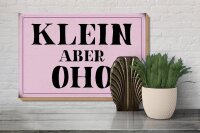 Holzschild Spruch 30x20cm klein aber Oho Schild