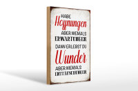 Holzschild Spruch 20x30cm habe Hoffnung Erwartungen Wunder