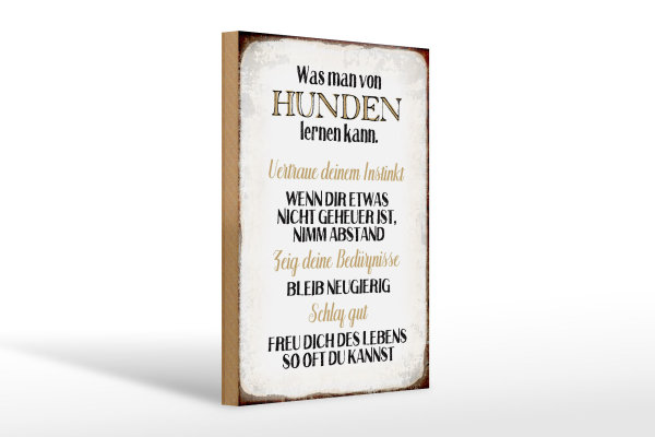 Holzschild Spruch 20x30cm was man von Hunden lernen kann