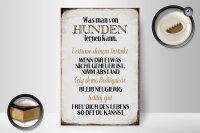 Holzschild Spruch 20x30cm was man von Hunden lernen kann