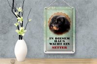 Blechschild Hund 12x18cm in diesem Haus wacht ein Setter