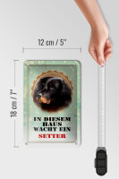 Blechschild Hund 12x18cm in diesem Haus wacht ein Setter