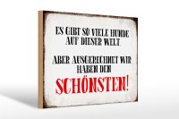Holzschild Spruch 30x20cm wir haben den schönsten Hund