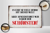 Holzschild Spruch 30x20cm wir haben den schönsten Hund
