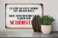 Holzschild Spruch 30x20cm wir haben den schönsten Hund