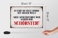 Holzschild Spruch 30x20cm wir haben den schönsten Hund