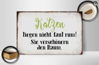 Holzschild Spruch 30x20cm Katzen liegen nicht faul rum