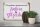 Holzschild Spruch 30x20cm Einhorn und Glitzerstaub
