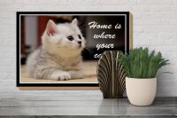 Holzschild Spruch 30x20cm Katze Home is where your cat