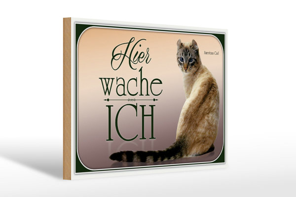 Holzschild Katze 30x20cm American Curl hier wache ich