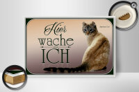 Holzschild Katze 30x20cm American Curl hier wache ich