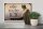 Holzschild Katze 30x20cm American Curl hier wache ich