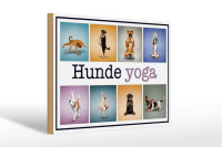 Holzschild Hund 30x20cm Hunde Yoga Wanddeko bunt
