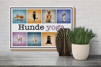 Holzschild Hund 30x20cm Hunde Yoga Wanddeko bunt