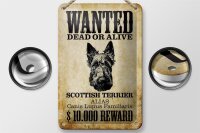 Blechschild Hund 12x18cm wanted Scottish Terrier
