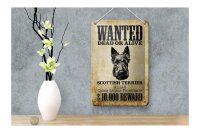 Blechschild Hund 12x18cm wanted Scottish Terrier