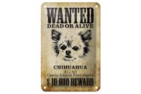 Blechschild Hund 12x18cm wanted Chihuahua Alias