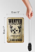 Blechschild Hund 12x18cm wanted Chihuahua Alias