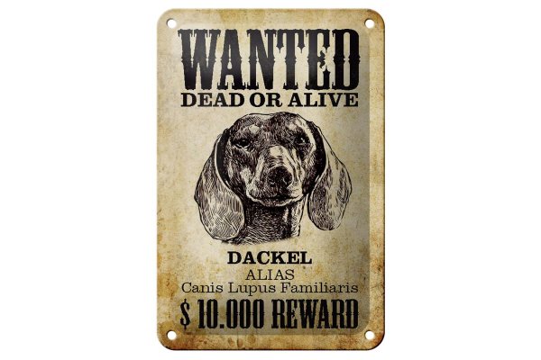 Blechschild Hund 12x18cm wanted dead Dackel Alias