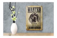 Blechschild Hund 12x18cm wanted dead Dackel Alias