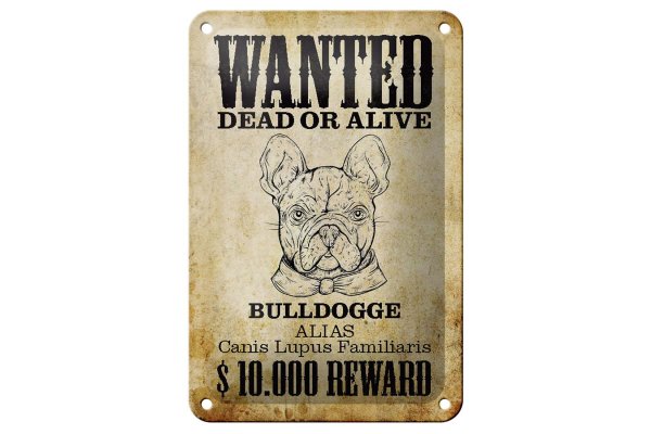 Blechschild Hund 12x18cm wanted dead Bulldogge Alias