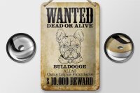 Blechschild Hund 12x18cm wanted dead Bulldogge Alias
