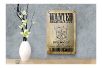 Blechschild Hund 12x18cm wanted dead Bulldogge Alias