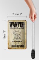 Blechschild Hund 12x18cm wanted dead Bulldogge Alias