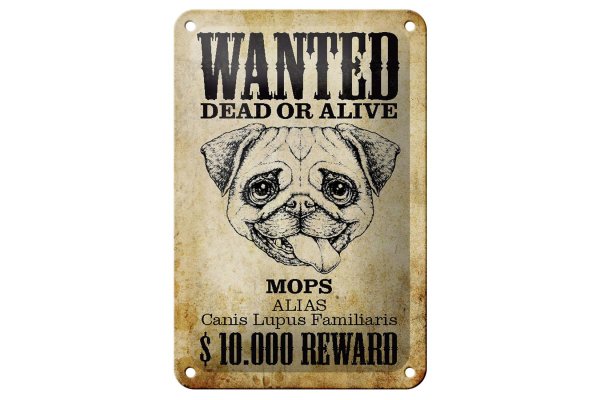 Blechschild Hund 12x18cm wanted dead Mops Alias Schild