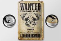Blechschild Hund 12x18cm wanted dead Mops Alias Schild