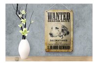 Blechschild Hund 12x18cm wanted dead Dalmatiner Schild