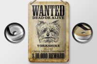 Blechschild Hund 12x18cm wanted dead Yorkshire Schild